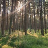 Review photo of Blackbird State Forest Campground by Emily M., November 7, 2022