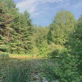 Review photo of Blackbird State Forest Campground by Emily M., November 7, 2022