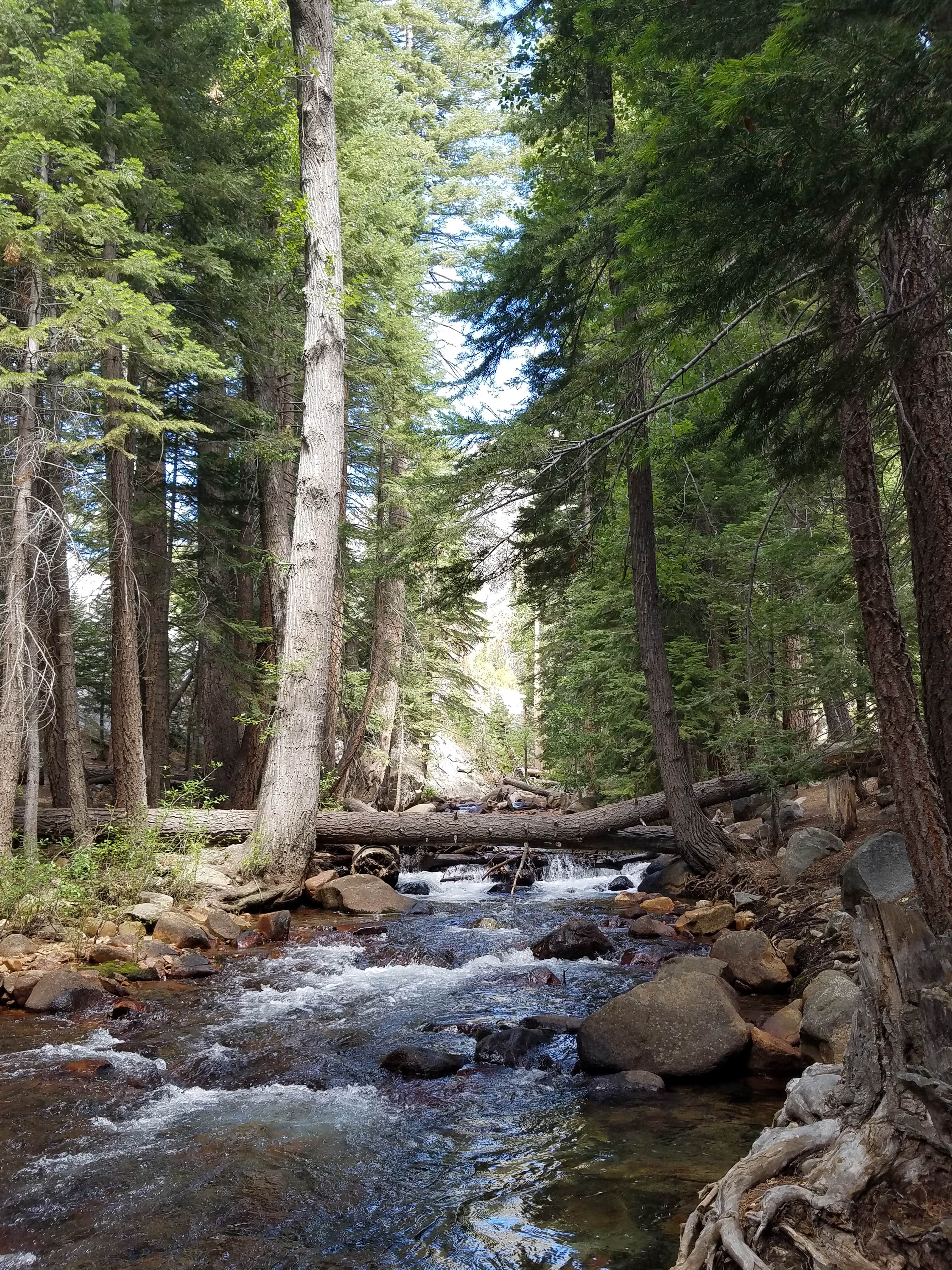 Camper-submitted photo at Aspen Campground near Lee Vining, CA