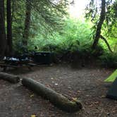 Review photo of Mill Creek Campground — Del Norte Coast Redwoods State Park by Kelsey M., September 14, 2018