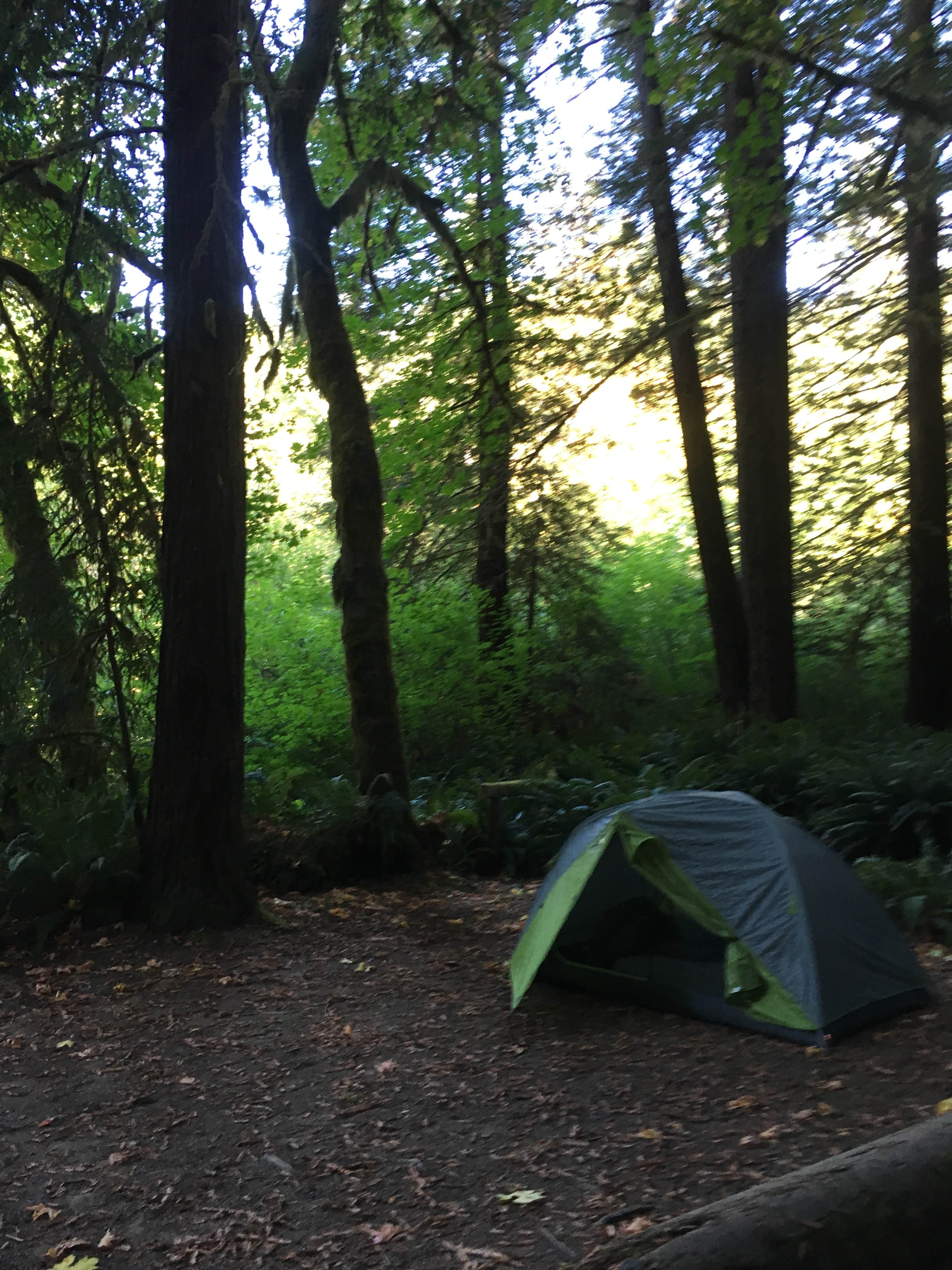 Kelsey M.'s photo at Mill Creek Campground — Del Norte Coast Redwoods State Park near Klamath, CA