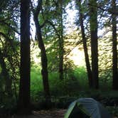 Review photo of Mill Creek Campground — Del Norte Coast Redwoods State Park by Kelsey M., September 14, 2018