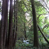 Review photo of Mill Creek Campground — Del Norte Coast Redwoods State Park by Kelsey M., September 14, 2018