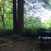 Review photo of Mill Creek Campground — Del Norte Coast Redwoods State Park by Kelsey M., September 14, 2018