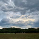 Review photo of Shawnee Creek Backcountry Camping — Ozark National Scenic Riverway by Delanie J., November 6, 2022