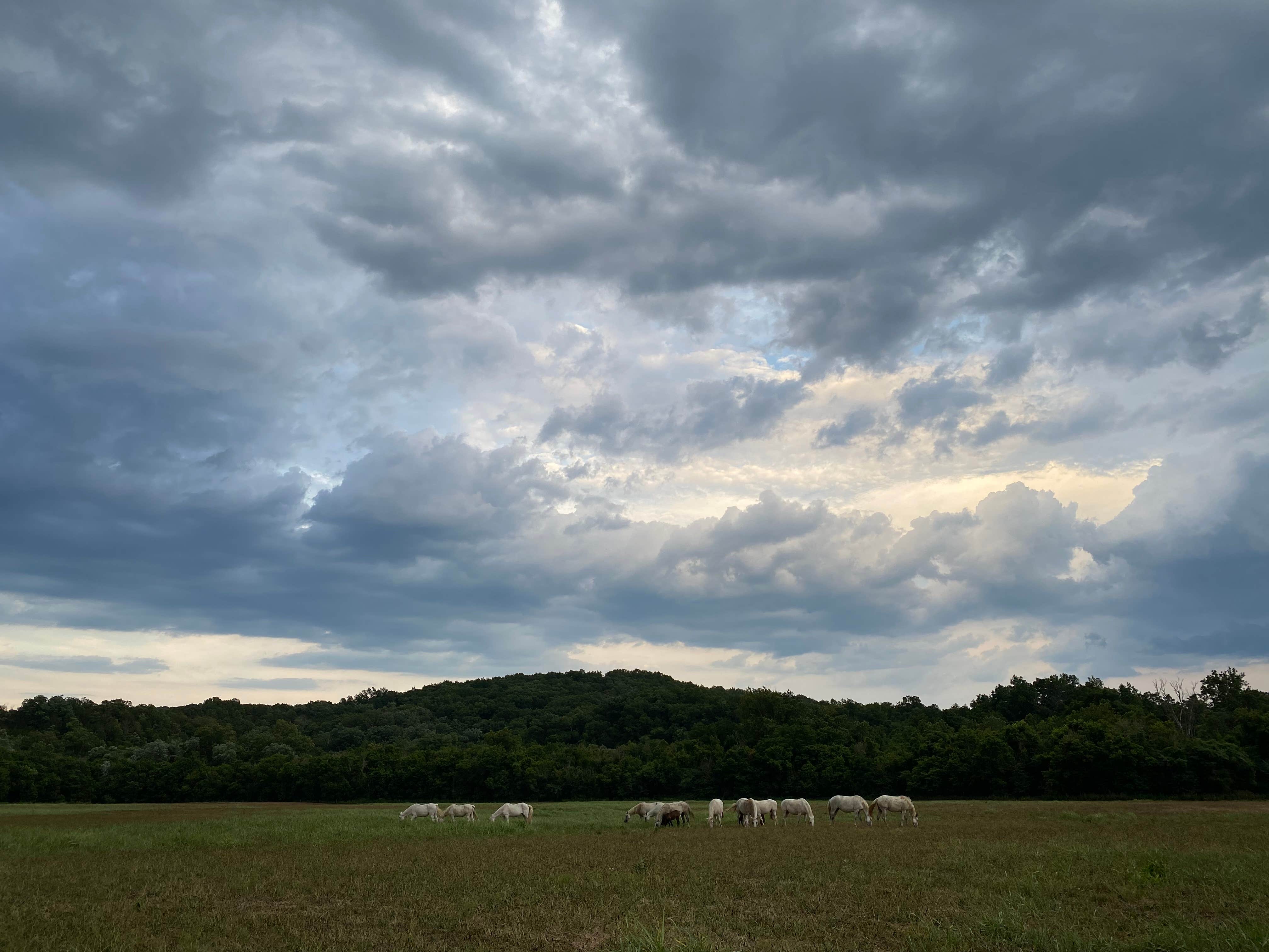 Camper submitted image from Shawnee Creek Backcountry Camping — Ozark National Scenic Riverway - 1