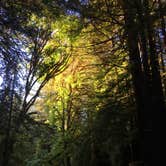 Review photo of Mill Creek Campground — Del Norte Coast Redwoods State Park by Kelsey M., September 14, 2018