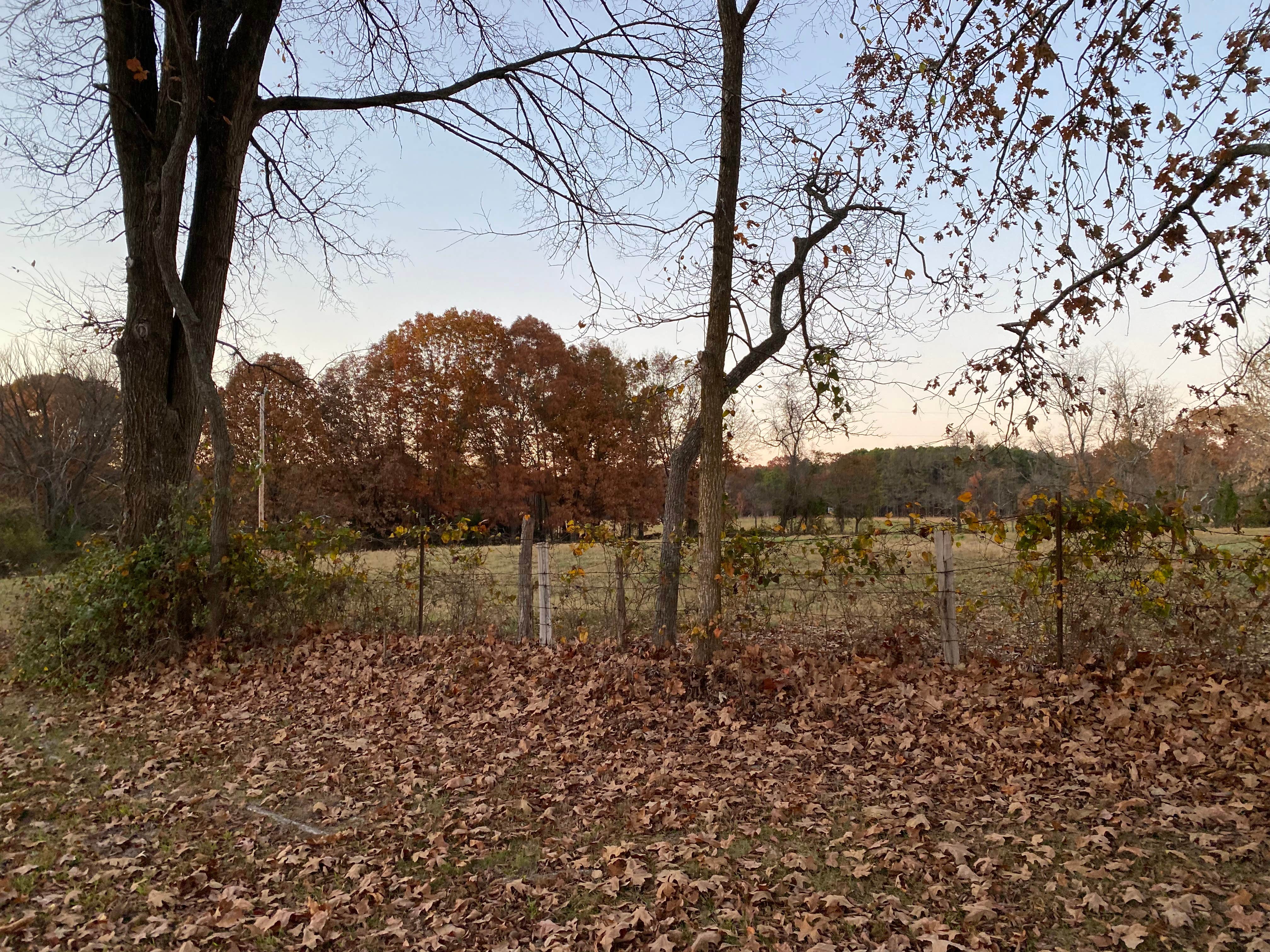 Camper-submitted photo at Richard's Canoe Rental & Campground near Norfork Lake