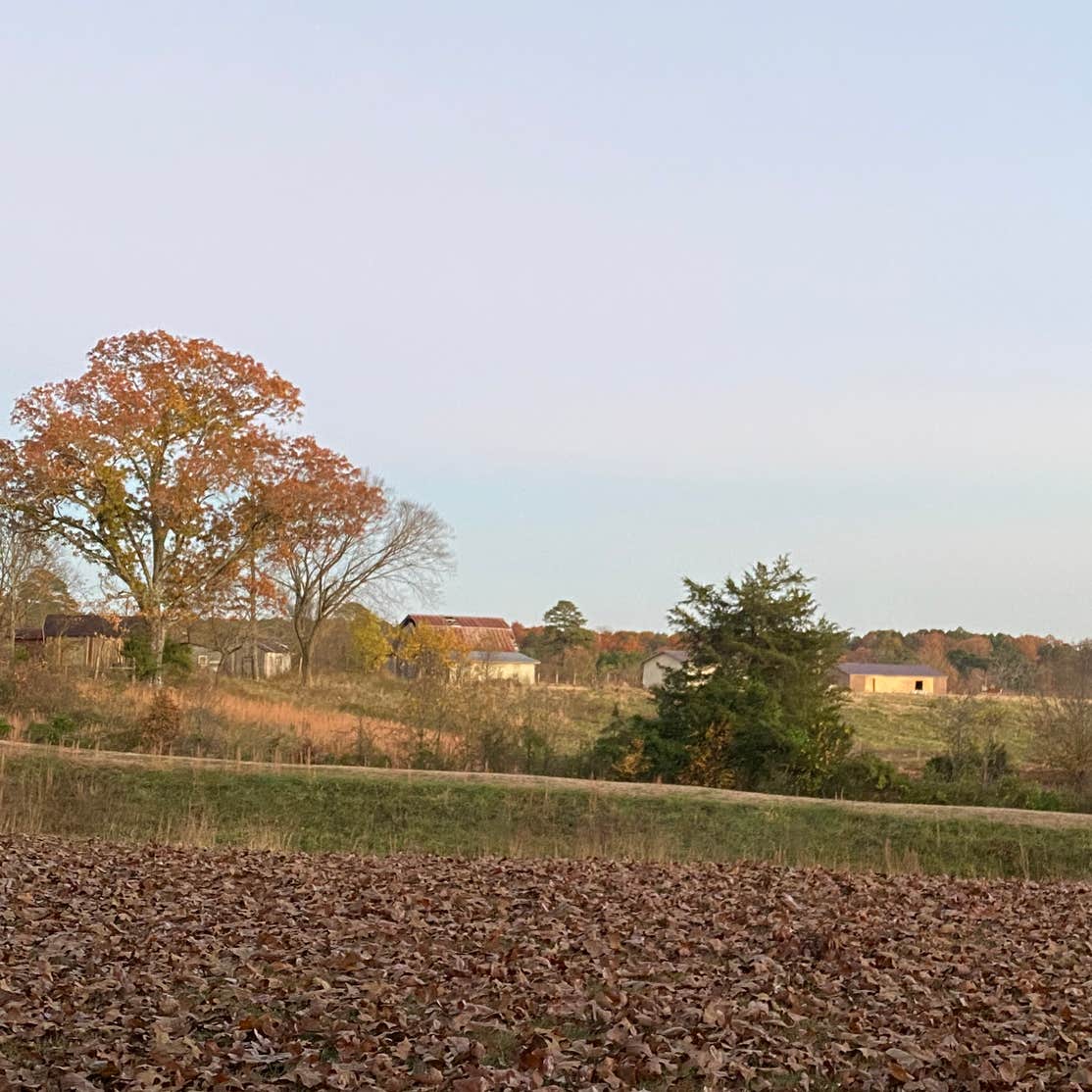 Richard's Canoe Rental & Campground Alton, MO