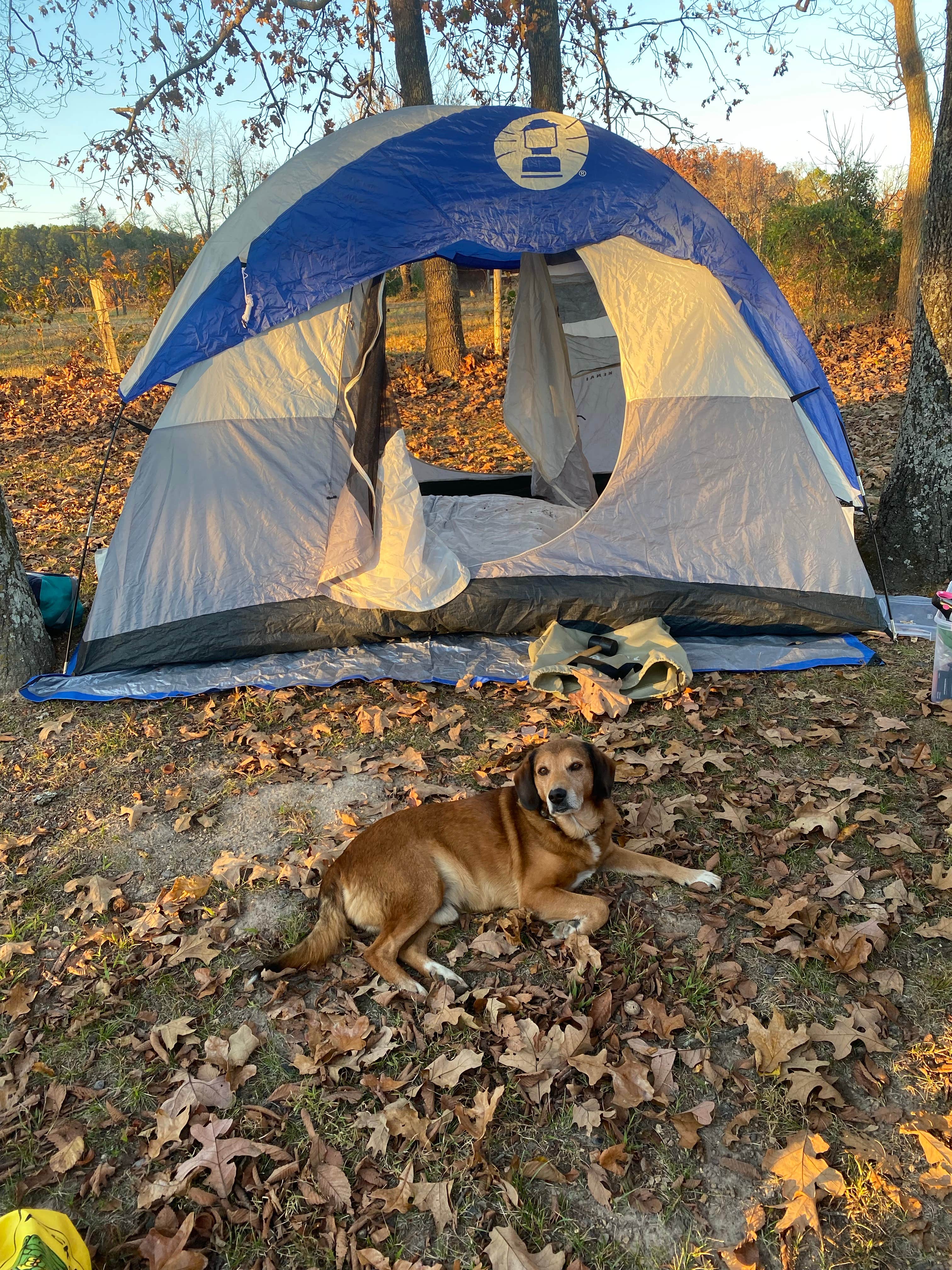 Camper-submitted photo at Richard's Canoe Rental & Campground near West Plains, MO