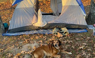Delanie J.'s photo at Richard's Canoe Rental & Campground near Thayer, MO
