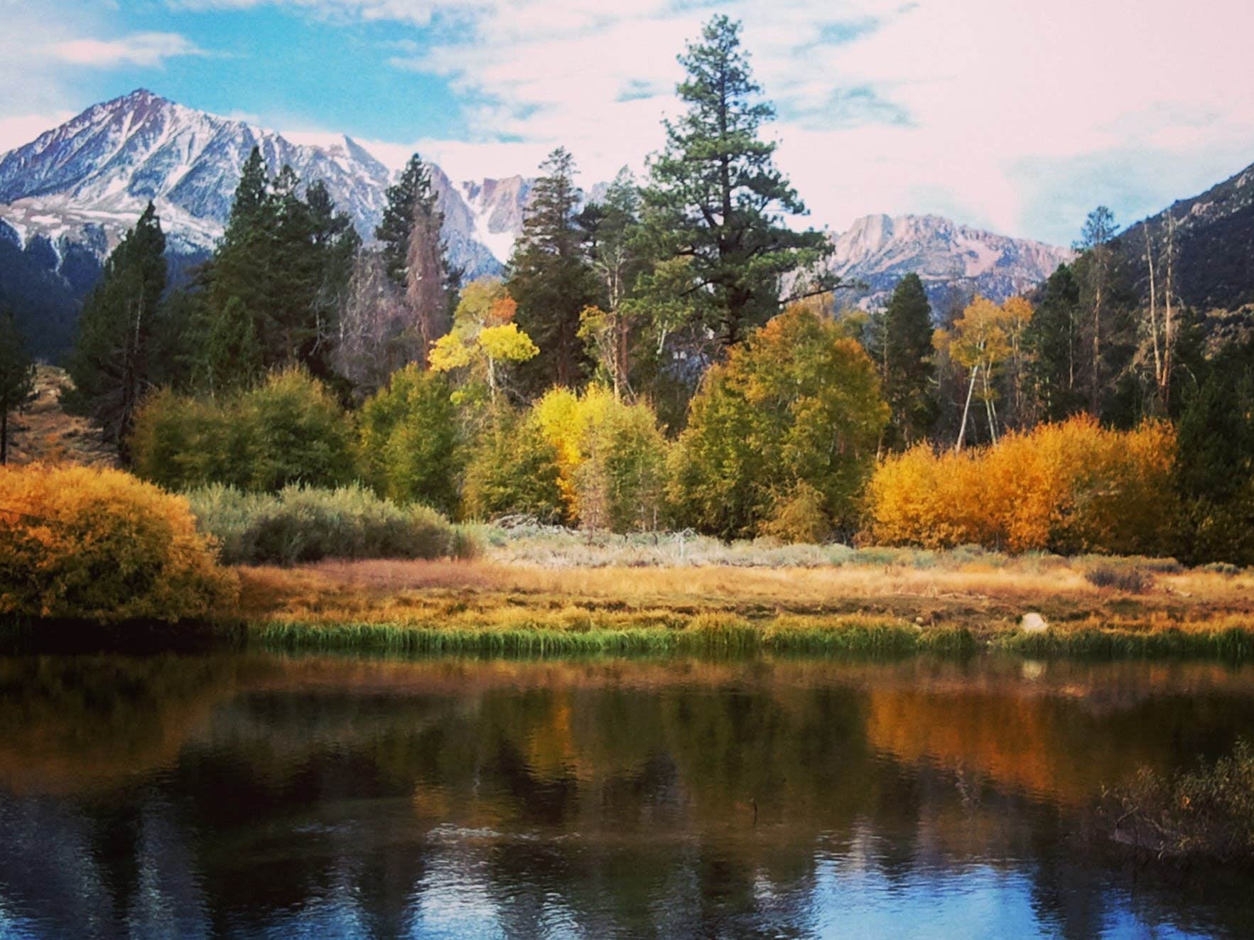 Aspen campground shop