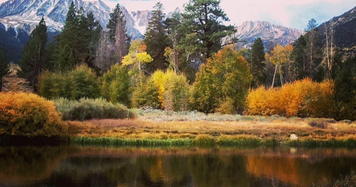 Aspen Campground