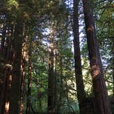 Review photo of Mill Creek Campground — Del Norte Coast Redwoods State Park by Kelsey M., September 14, 2018