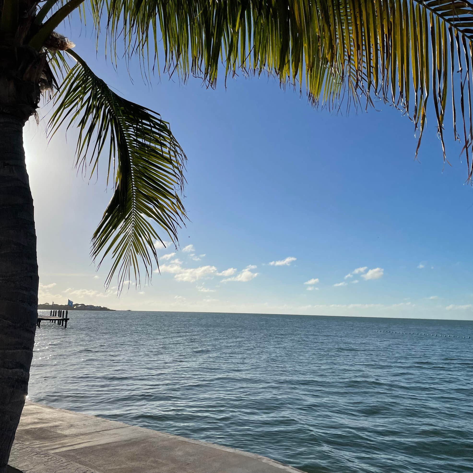 Jolly Roger RV Resort Camping The Dyrt