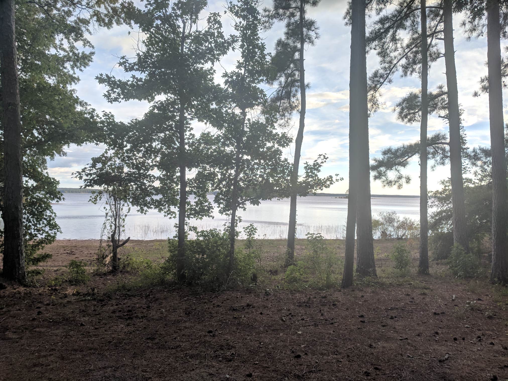 Camper-submitted photo at Bussey Point Wilderness Area near North Augusta, SC