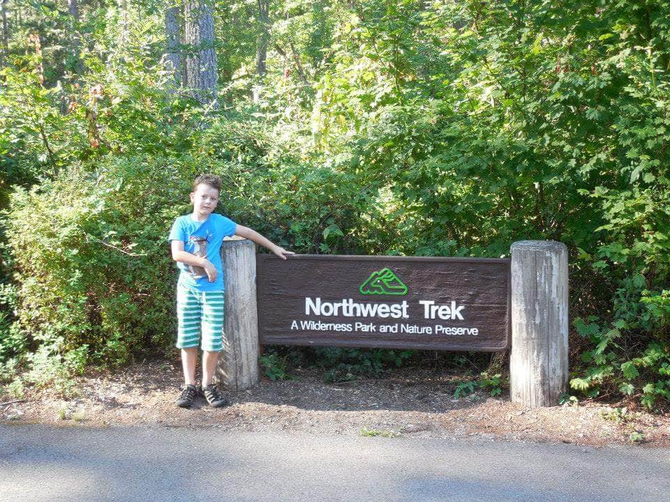 Camper-submitted photo at Alder Lake Park near Orting, WA