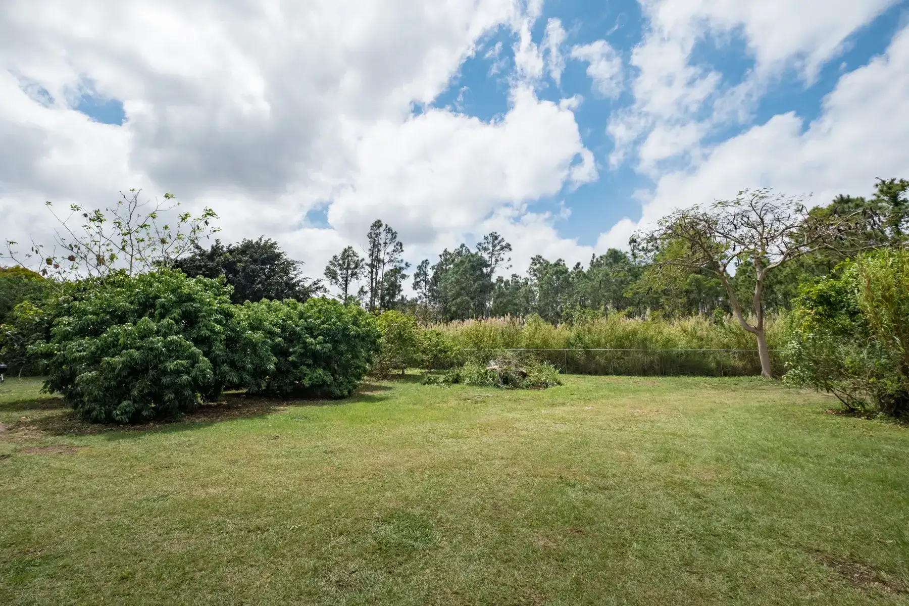 Camper-submitted photo at Redlands Acre Campground near Florida City, FL