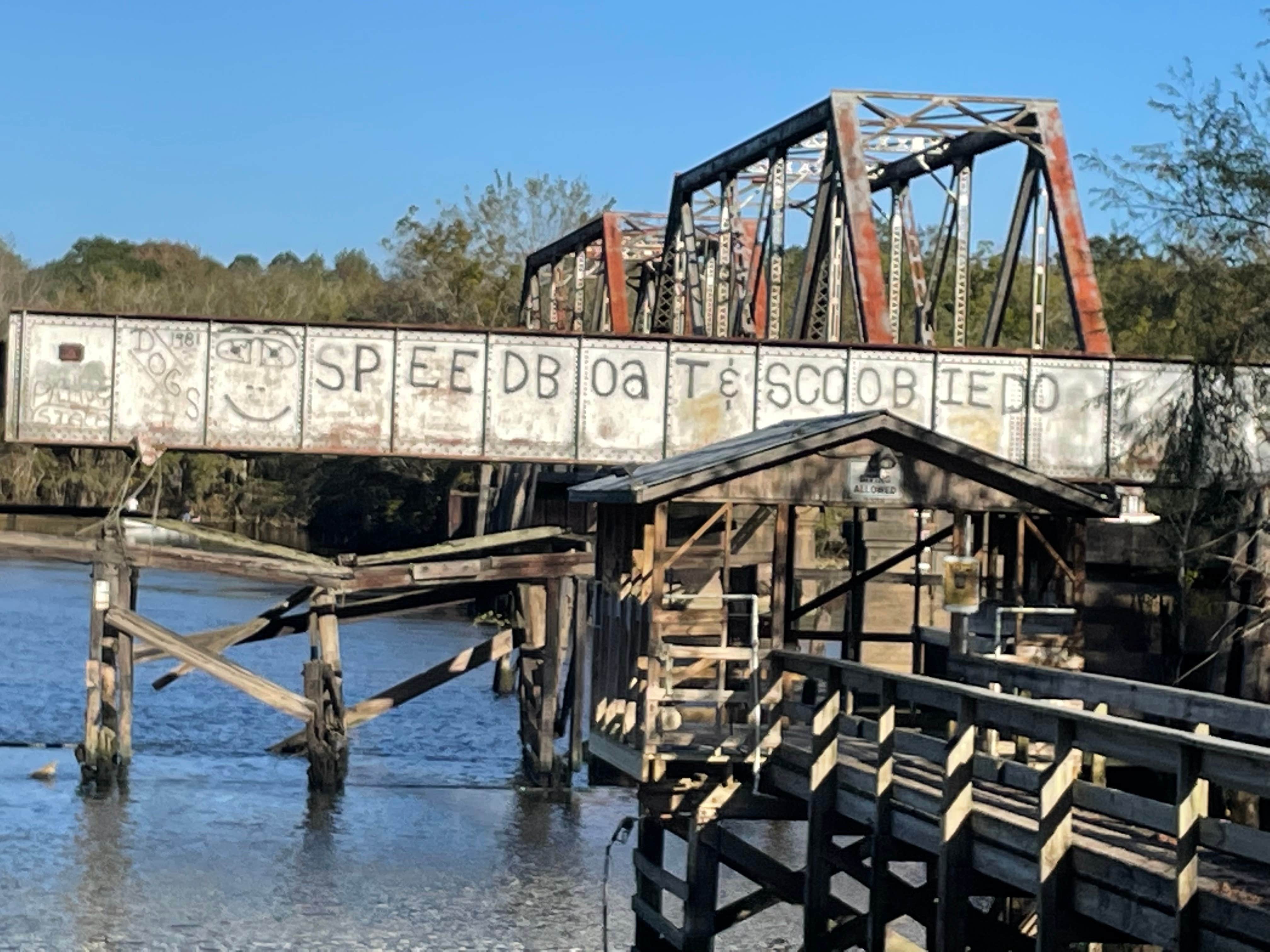 Altamaha Regional Park Camping Brunswick, GA