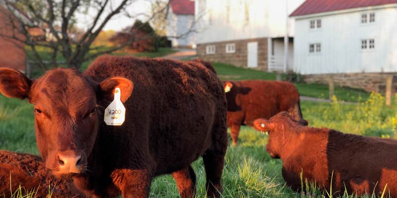 Camper submitted image from Redemption Springs