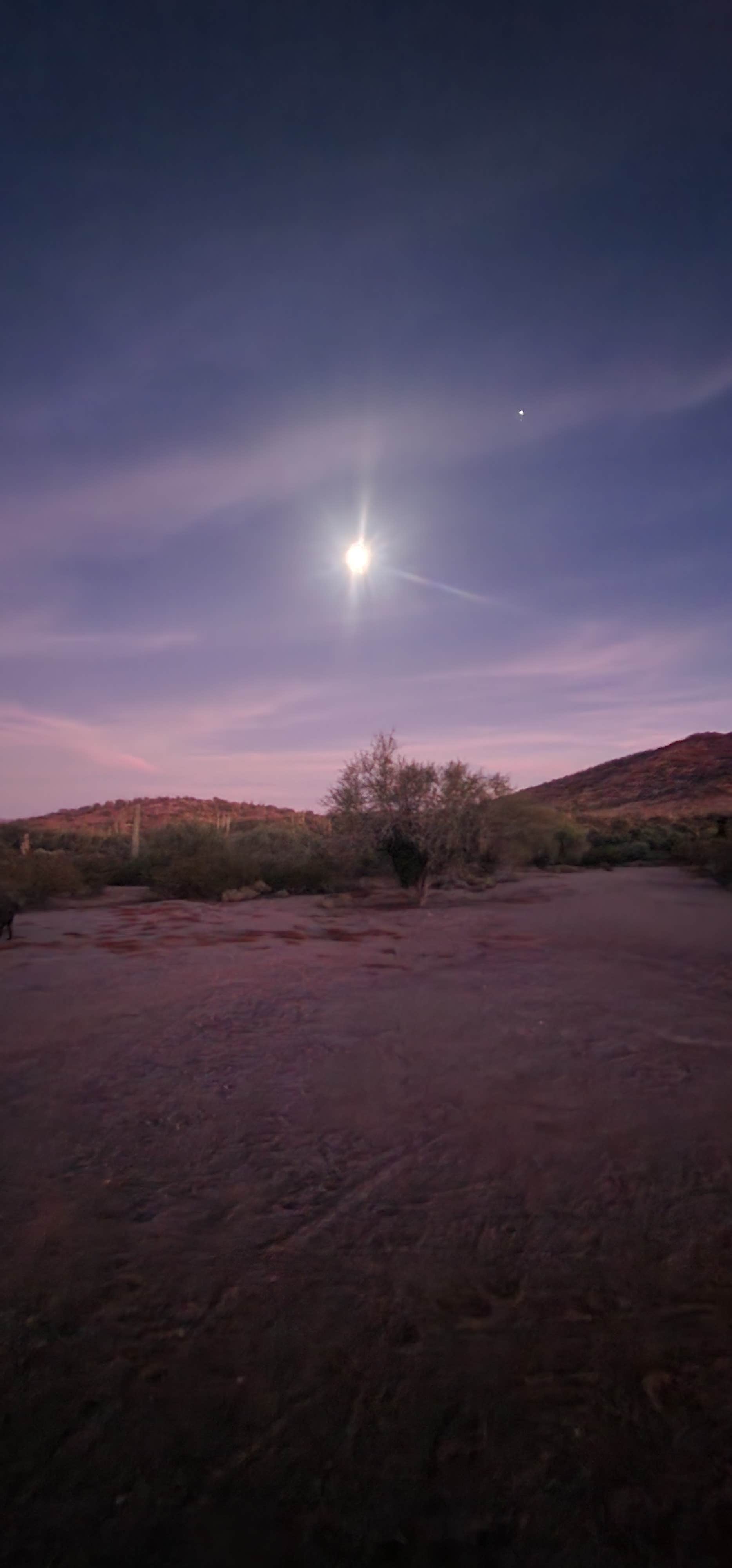 Camper-submitted photo at Darby Wells Rd BLM Dispersed near Ajo, AZ