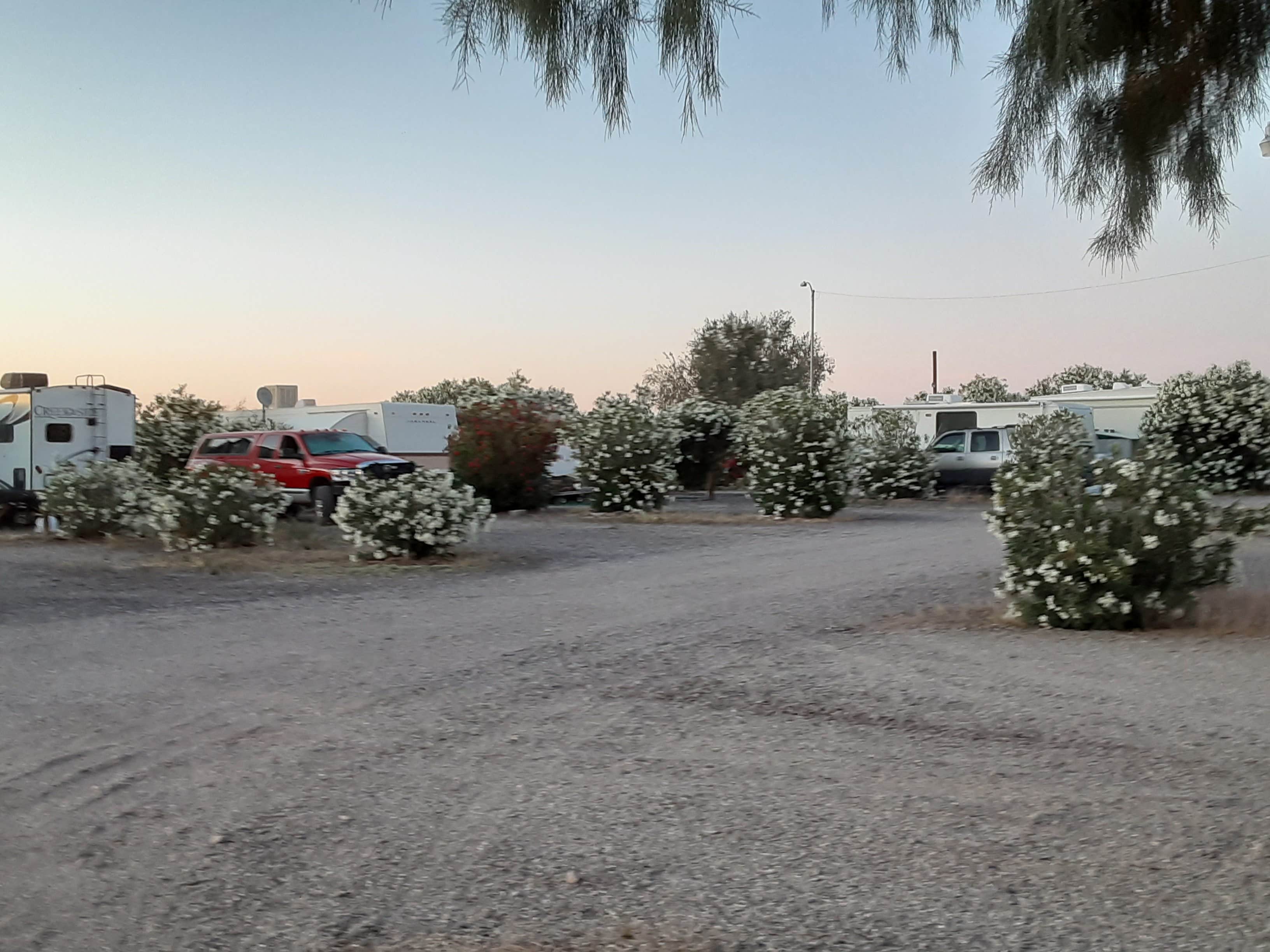 Camper-submitted photo at Bouse RV Park near Parker, AZ