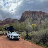 Review photo of Watchman Campground — Zion National Park by Robert O., November 8, 2022