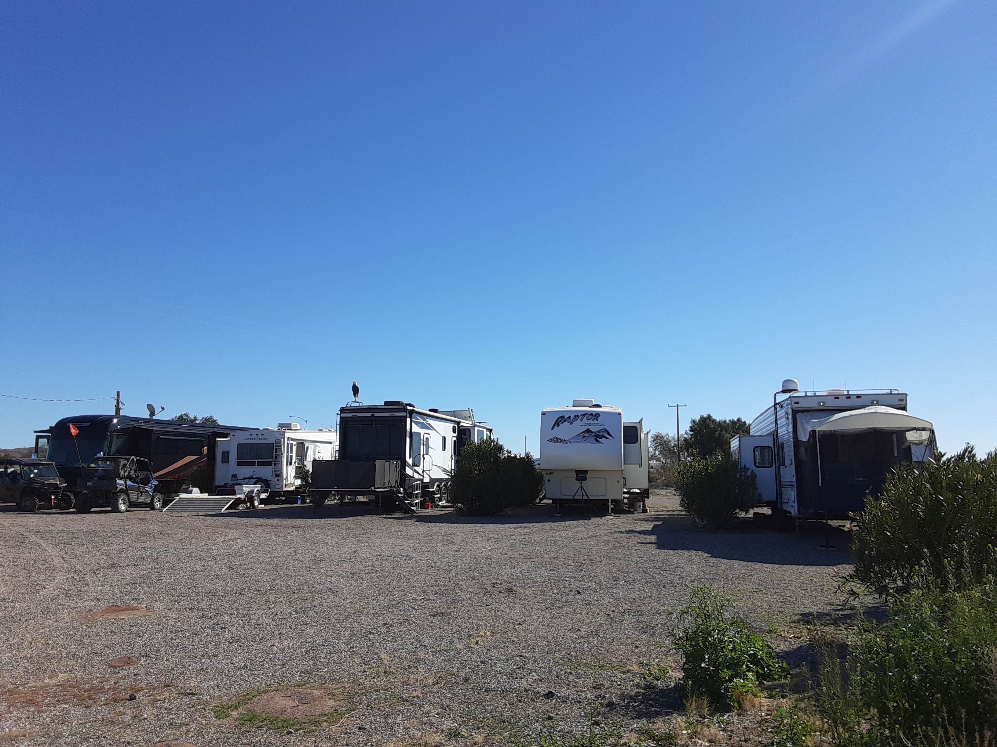 Camper-submitted photo at Bouse RV Park near Parker, AZ