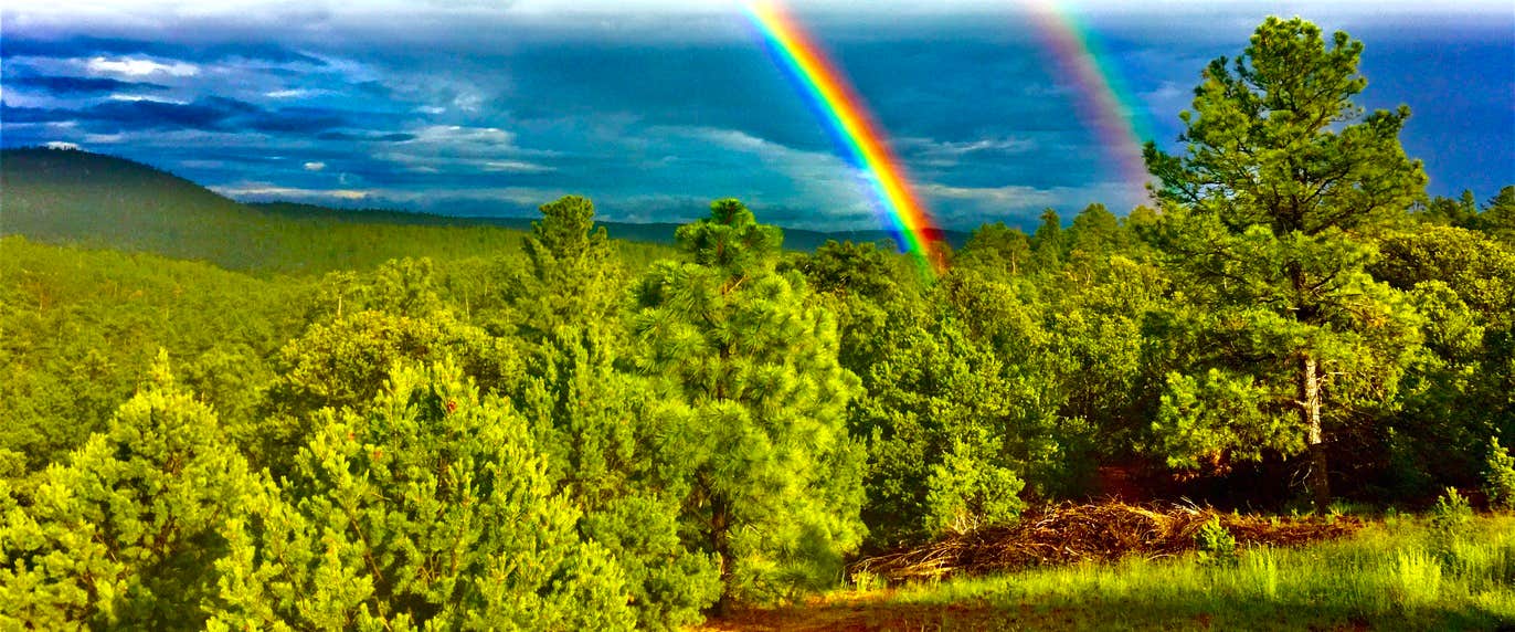 Camper submitted image from Santa Fe Treehouse Camp - 1