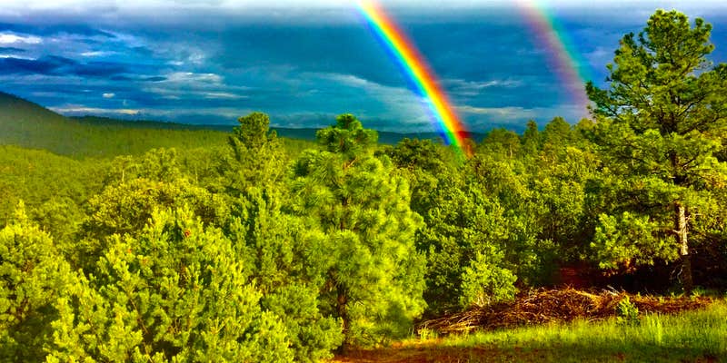 Camper submitted image from Santa Fe Treehouse Camp