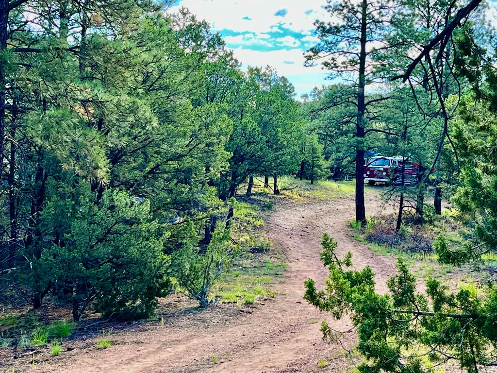 Camper-submitted photo at Santa Fe Treehouse Camp near Eldorado at Santa Fe, NM