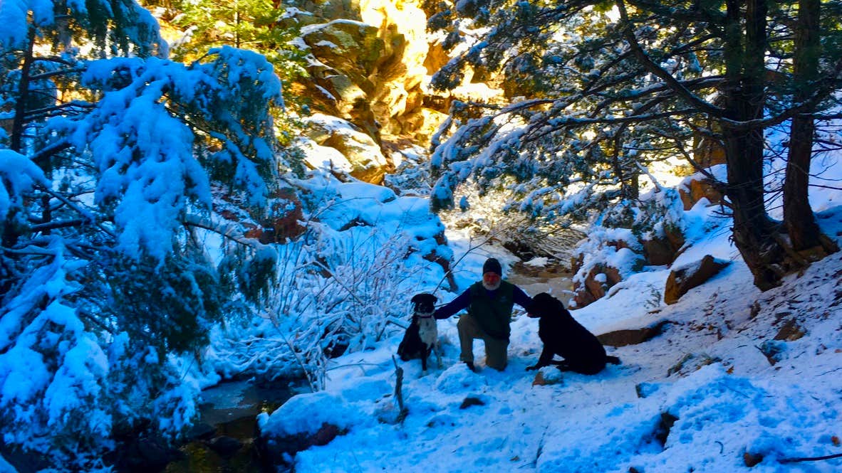 Santa F.'s photo of camping with pets at Santa Fe Treehouse Camp near Montezuma, NM