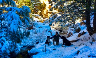 Santa F.'s photo of camping with pets at Santa Fe Treehouse Camp near Sapello, NM