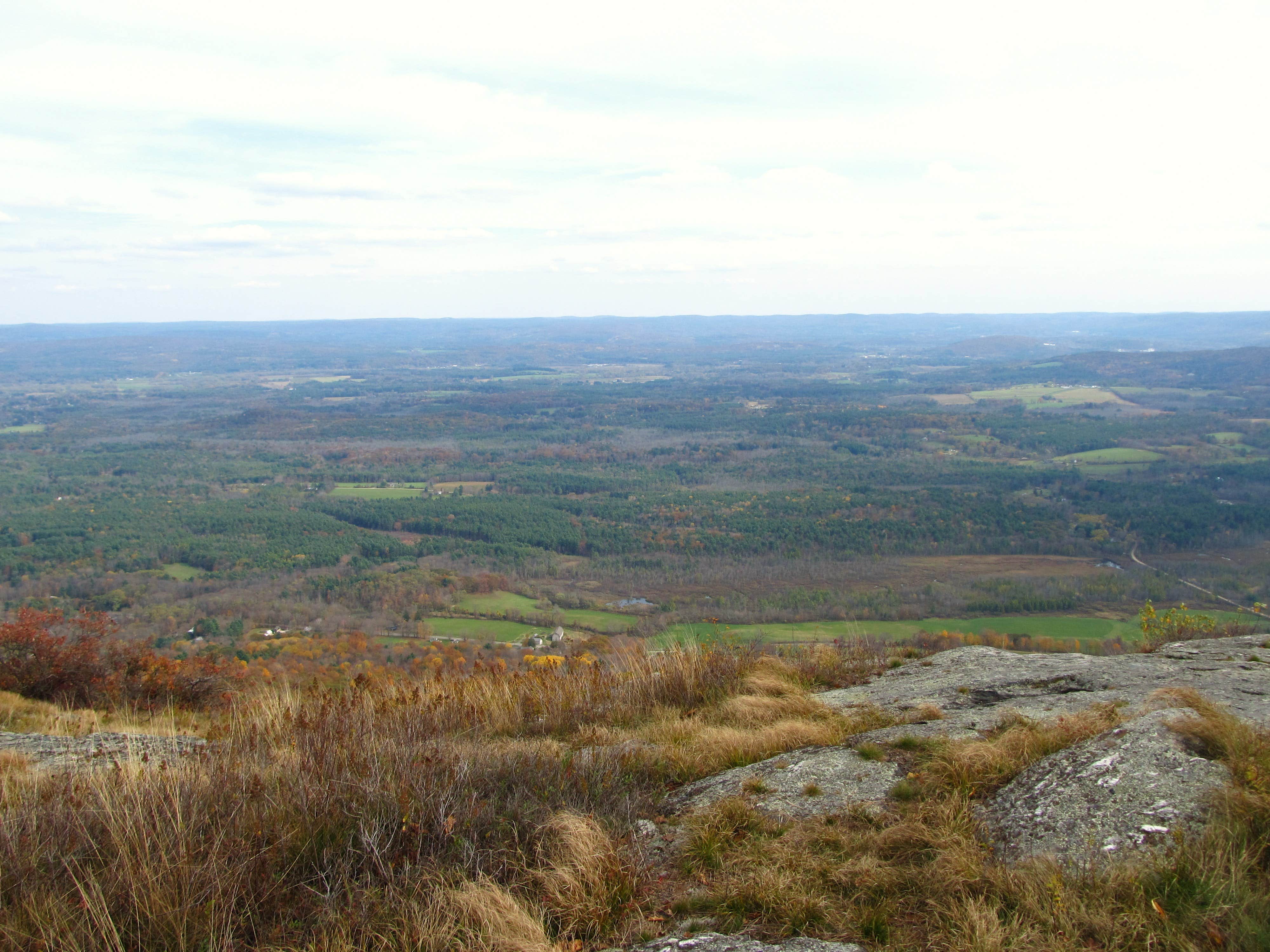 Camper submitted image from Laurel Ridge — Mount Everett State Reservation - 2