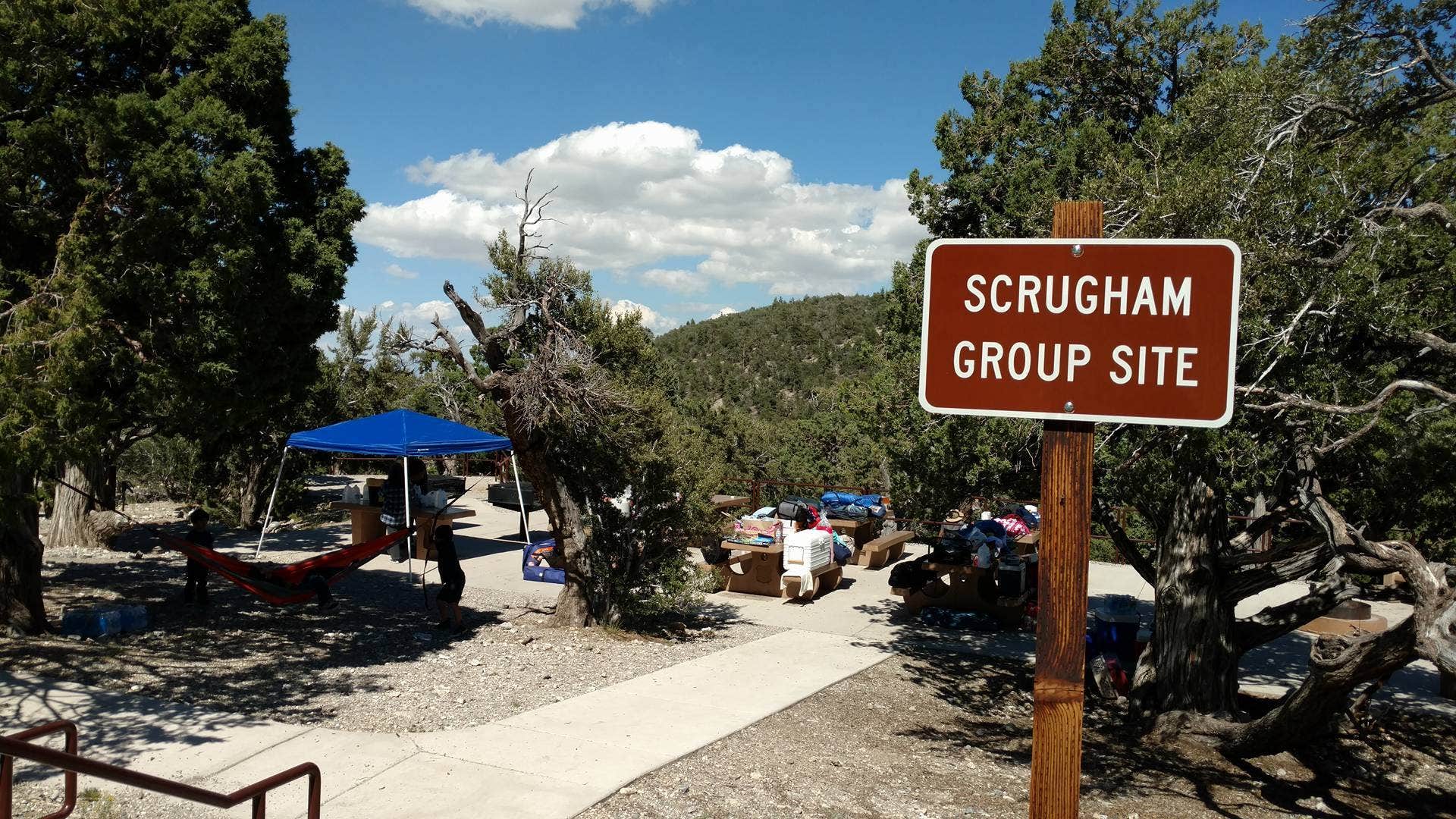 Camper submitted image from Mahogany Grove - 3