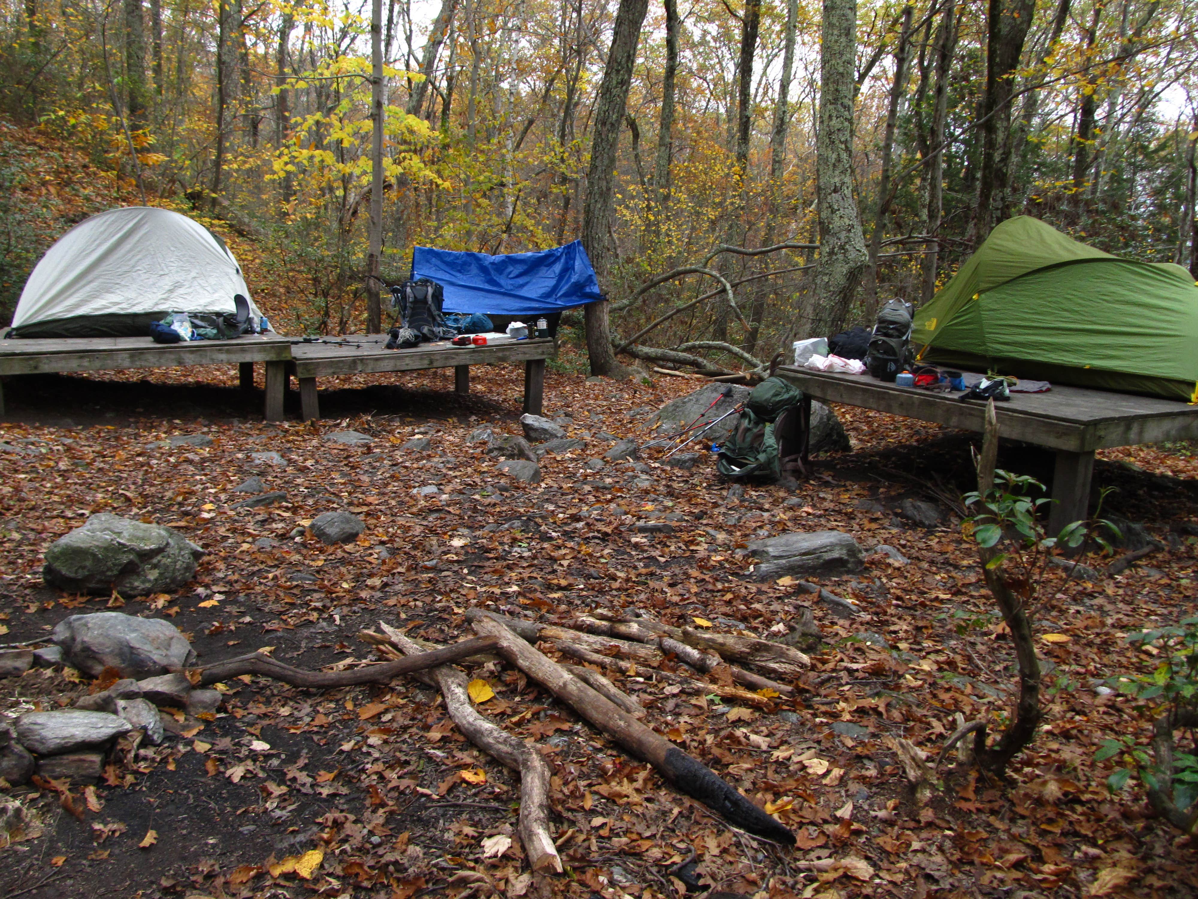 Tina D.'s photo of tent camping at Laurel Ridge — Mount Everett State Reservation near Whately, MA