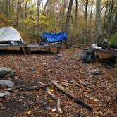 Review photo of Laurel Ridge Campsite by Tina D., September 16, 2018