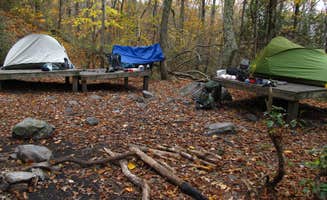 Tina D.'s photo at Laurel Ridge — Mount Everett State Reservation near Millerton, NY