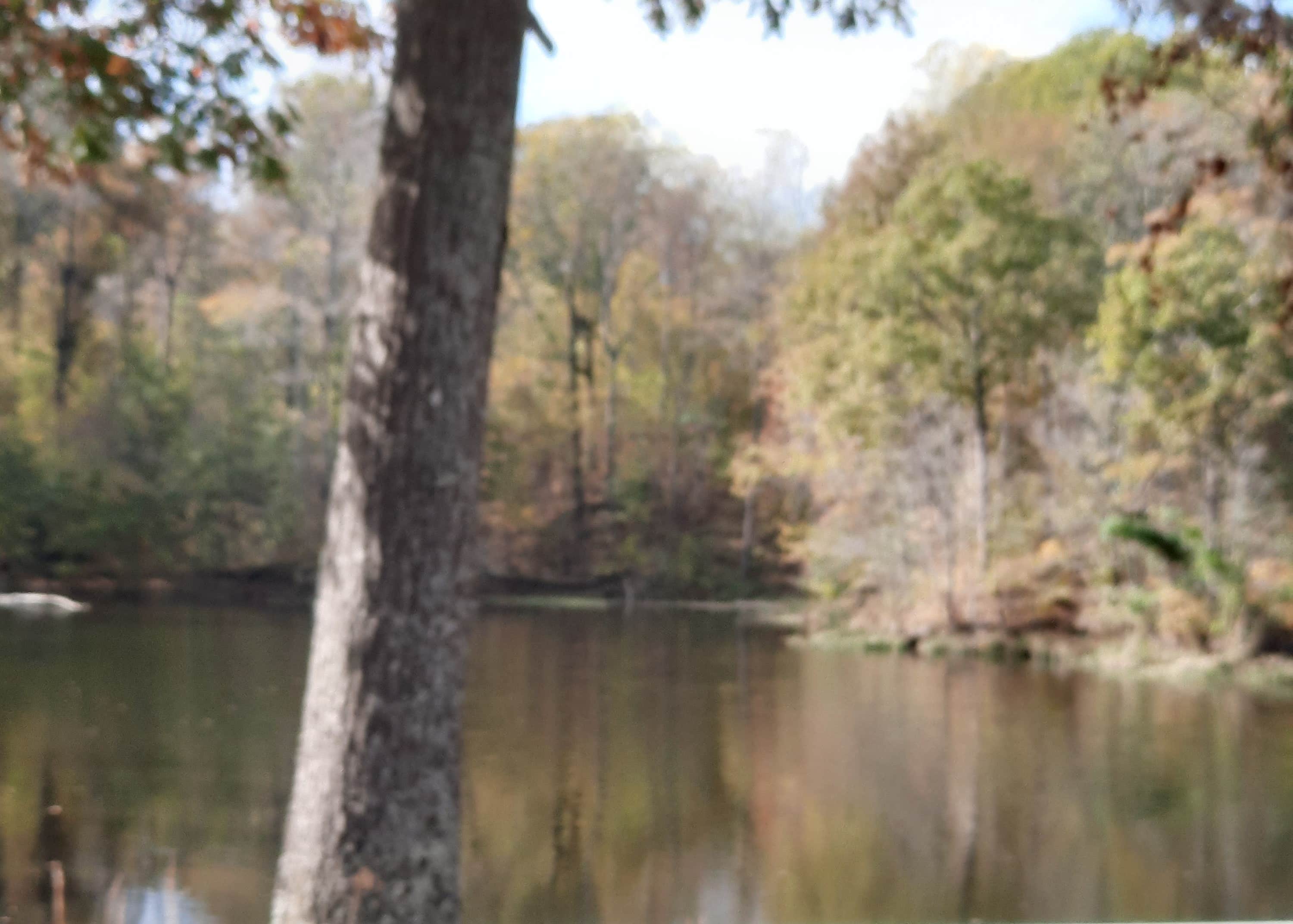 Bear Creek Lake Recreation Area Camping The Dyrt