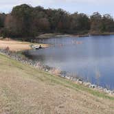 Review photo of Bear Creek Lake Recreation Area by Steve S., November 7, 2022