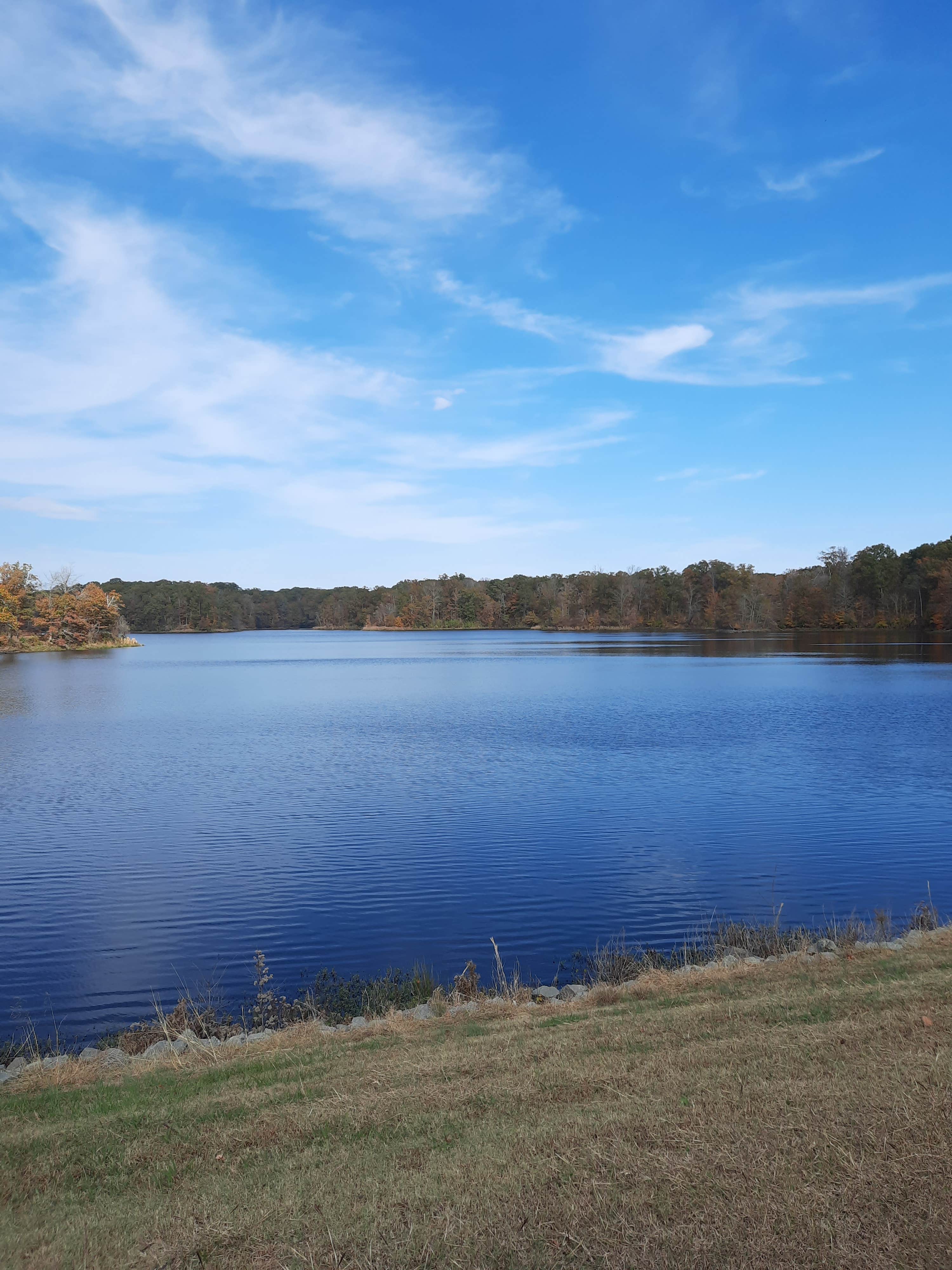 Camper-submitted photo at Bear Creek Lake Recreation Area near Lexa, AR