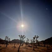 Review photo of Mojave Cross Dispersed — Mojave National Preserve by Aliza  N., November 8, 2022