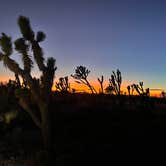 Review photo of Mojave Cross Dispersed — Mojave National Preserve by Aliza  N., November 8, 2022