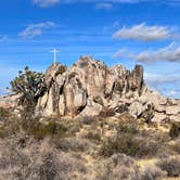 Review photo of Mojave Cross Dispersed — Mojave National Preserve by Aliza  N., November 8, 2022