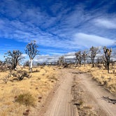 Review photo of Mojave Cross Dispersed — Mojave National Preserve by Aliza  N., November 8, 2022