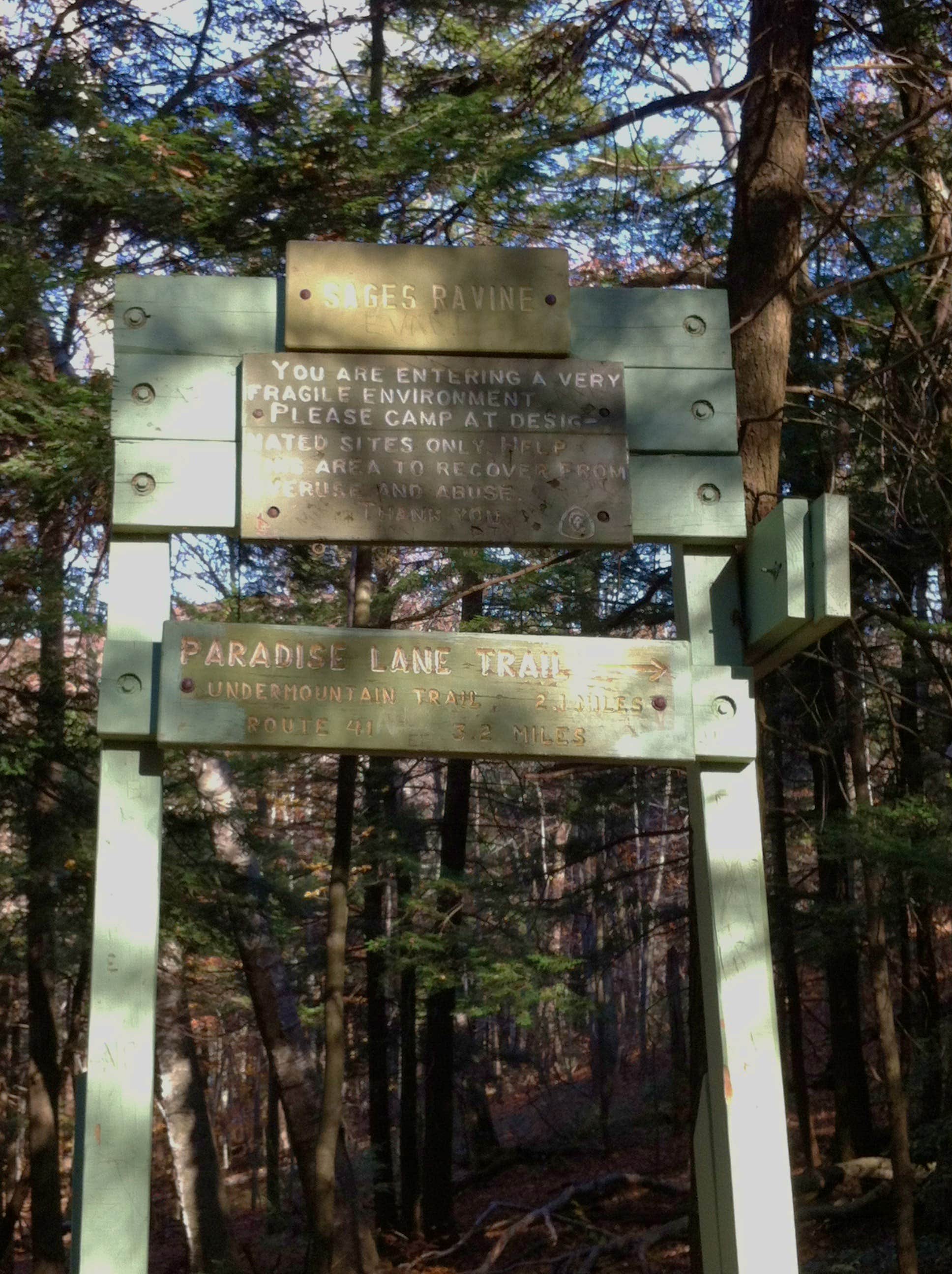 Camper-submitted photo at Laurel Ridge — Mount Everett State Reservation near Ashley Falls, MA