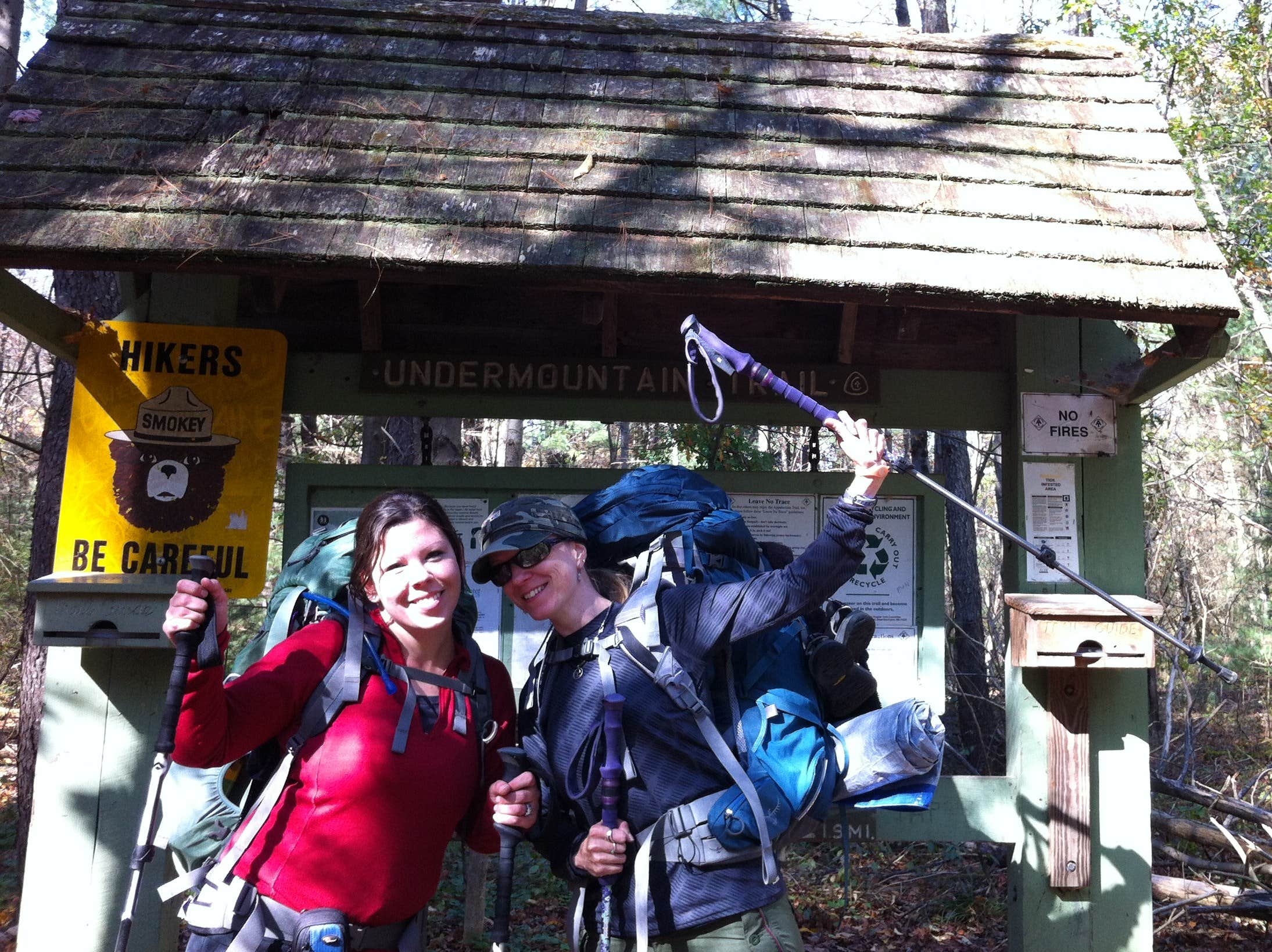 Camper-submitted photo at Laurel Ridge — Mount Everett State Reservation near Ashley Falls, MA