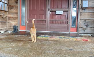 Taylor's photo of camping with pets at Creeper Trail Campground near Mouth of Wilson, VA
