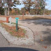 Review photo of Mississippi River State Park Campground by Steve S., November 7, 2022