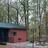 Review photo of Mississippi River State Park Campground by Steve S., November 7, 2022